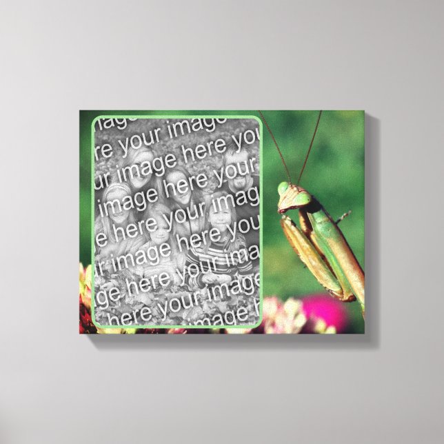 Praying Mantis Create Your Own Photo Canvas Print (Front)