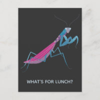 Praying Mantis Custom Text
