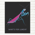 Praying Mantis Custom Text Poster<br><div class="desc">A funny praying mantis for insect and bug lovers.
Some female praying mantises eat their boyfriends. Eek!
Add your own text to customize with a name,  phrase or joke.</div>