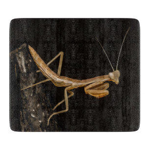 Praying Mantis Cute And Creepy Insect Art Cutting Board