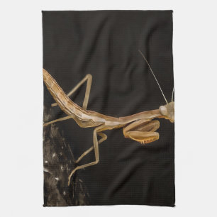 Praying Mantis Cute And Creepy Insect Art Kitchen Towel