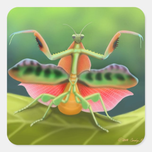 Praying Mantis Displaying Square Sticker (Front)