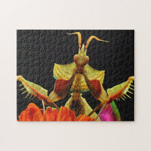 Praying Mantis Flowers Photo Puzzle