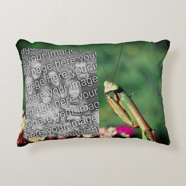 Praying Mantis Frame Create Your Own Photo Accent Pillow (Front)