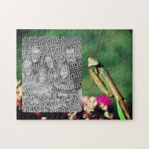 Praying Mantis Frame Create Your Own Photo Jigsaw Puzzle