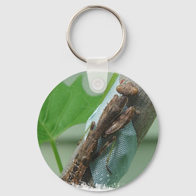 Praying Mantis Insect Keychain (Front)