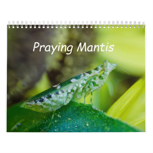 Praying Mantis Insects Calendar (Cover)