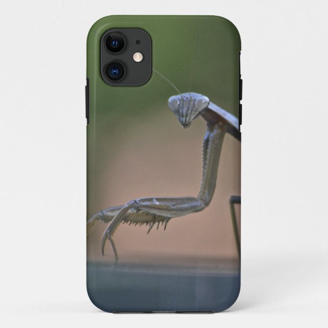 Praying Mantis Iphone 5 Case (Back)