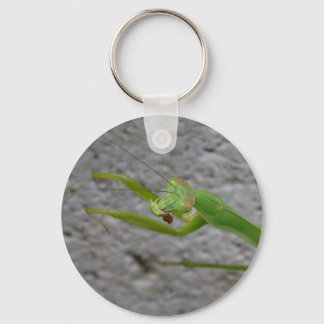 Praying Mantis keychain
