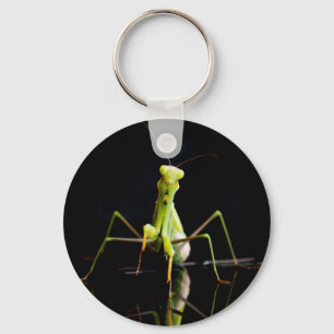 Praying mantis keychain