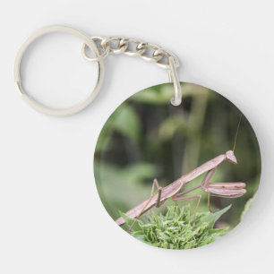 Praying Mantis Keychain