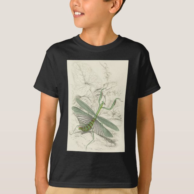 Praying Mantis, Mantis Religiosa T-Shirt (Front)