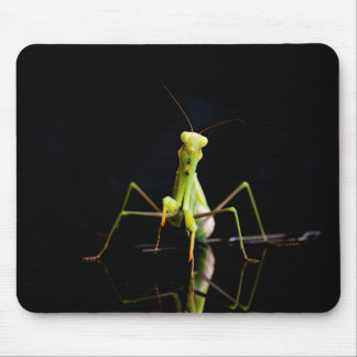 Praying mantis mouse pad