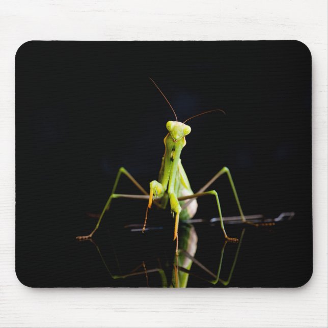 Praying mantis mouse pad (Front)