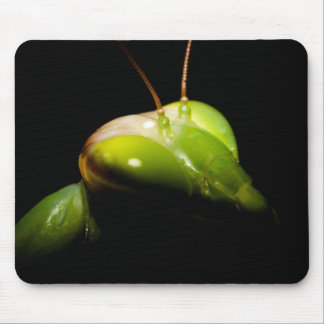 Praying mantis mouse pad