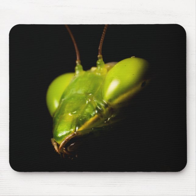 Praying mantis mouse pad (Front)
