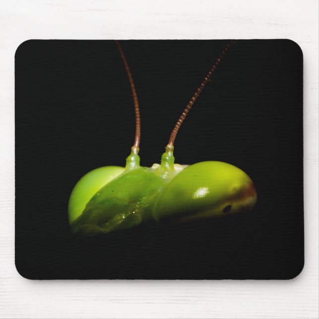 Praying mantis mouse pad (Front)