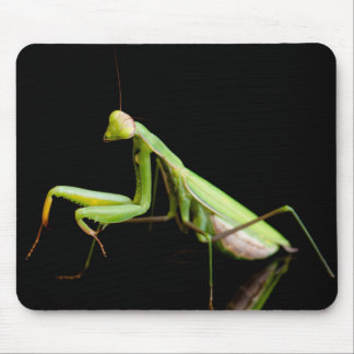 Praying mantis mouse pad