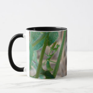 Praying Mantis Mug
