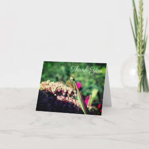 Praying Mantis Nature Customizable Thank You Card