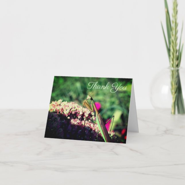Praying Mantis Nature Customizable Thank You Card (Front)