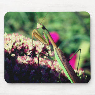 Praying Mantis Nature Mouse Pad