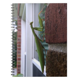 Praying Mantis on Brick Wall Notebook