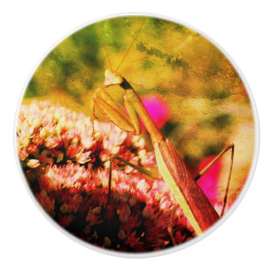 Praying Mantis On Sedum Flower Abstract Grunge Ceramic Knob
