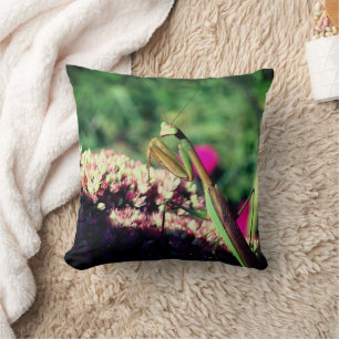 Praying Mantis On Sedum Flower Close Up  Throw Pillow