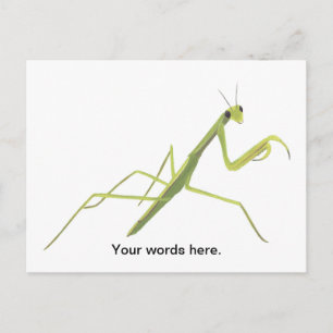Praying Mantis Painting Custom Postcards