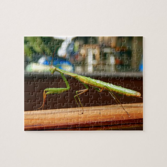 Praying Mantis Photo Puzzle with Gift Box (Horizontal)