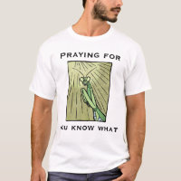 Praying Mantis Praying for You know what Funny Bug
