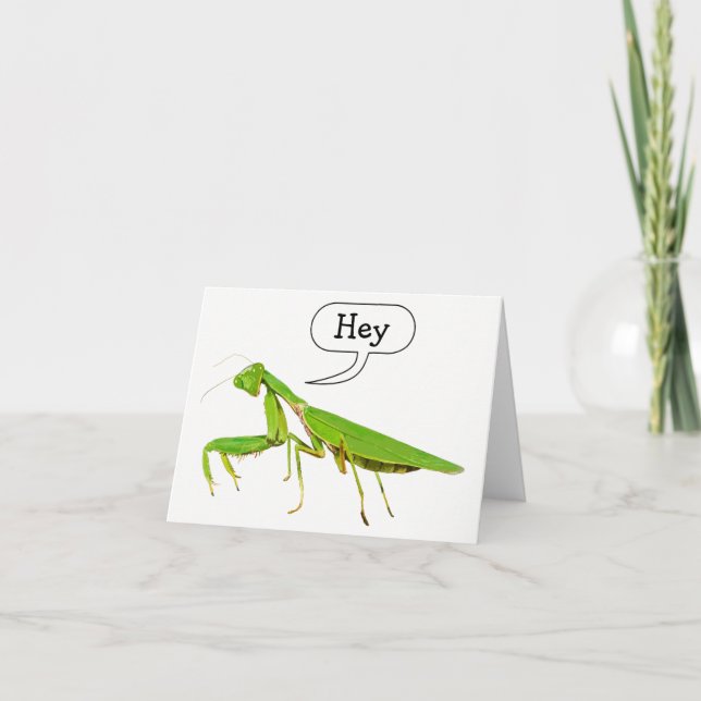 Praying Mantis Says Hey Notecard (Front)