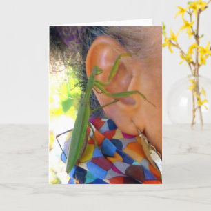 Praying Mantis shares a secret - card