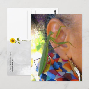 Praying Mantis shares a secret - V postcard