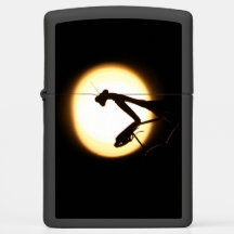 Praying Mantis Silhouette