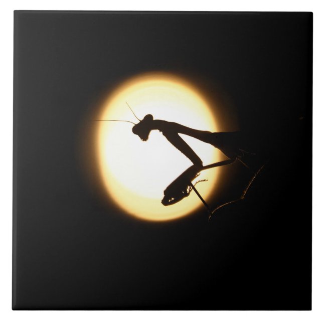 Praying Mantis Silhouette Tile (Front)