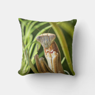 Praying Mantis Throw Pillow