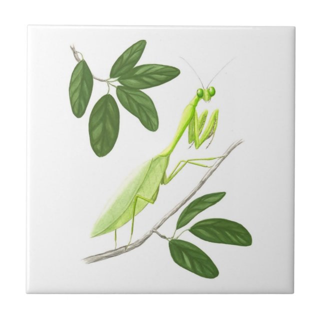 Praying Mantis Tile (Front)