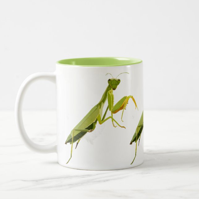 Praying Mantis Two-Tone Coffee Mug (Left)