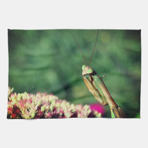 Praying Mantis Up Close Kitchen Towel