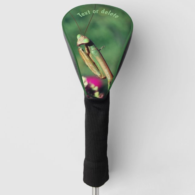 Praying Mantis Up Close Personalized Golf Head Cover (Front)