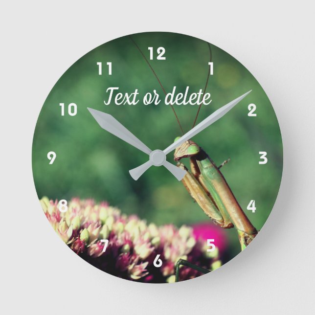 Praying Mantis Up Close Personalized Round Clock (Front)