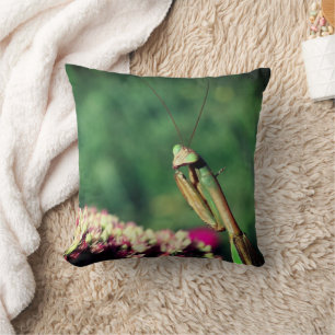 Praying Mantis Up Close   Throw Pillow