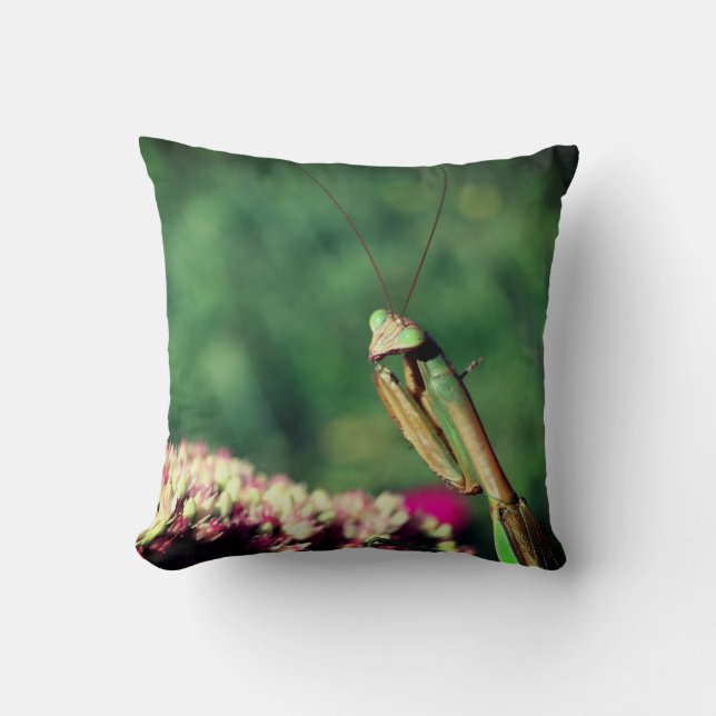 Praying Mantis Up Close   Throw Pillow (Front)