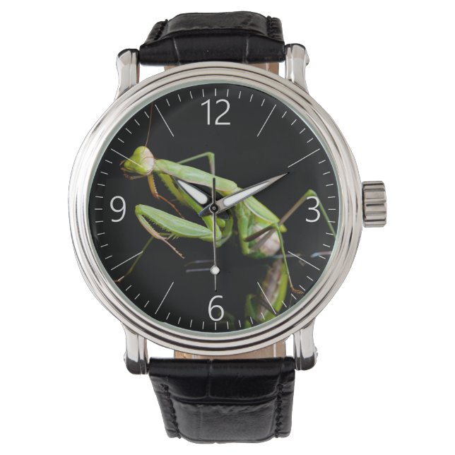 Praying mantis watch (Front)