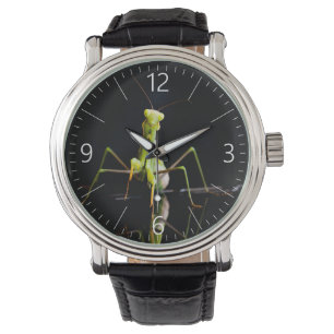 Praying mantis watch