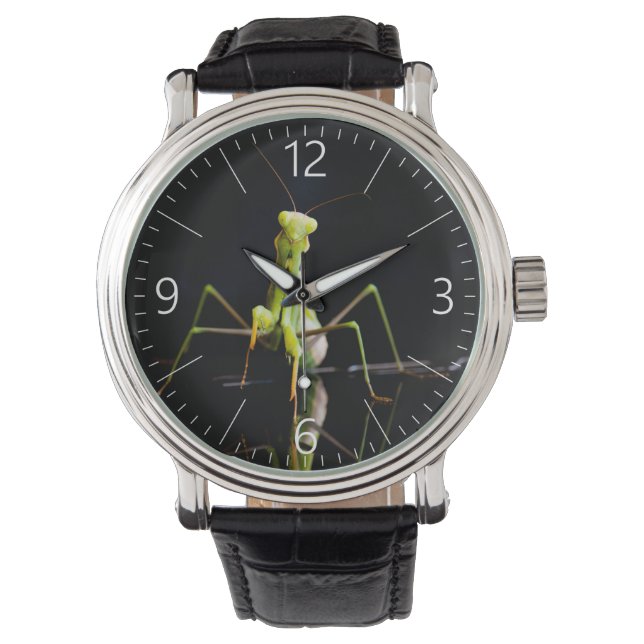 Praying mantis watch (Front)