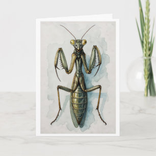 Praying Mantis watercolor painting insect art  Card