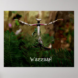 Praying Mantis Wazzaap! Poster